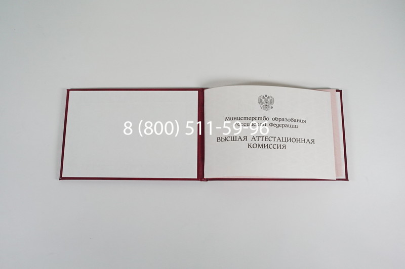 Диплом доктора наук 1995-2006 года в Волгограде Диплом доктора наук 1995-2006 года в Волгограде